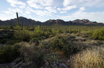 photo thumbnail #3