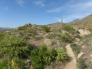 photo thumbnail #4