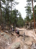photo thumbnail #2