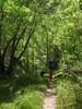 photo thumbnail #13