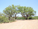 photo thumbnail #2