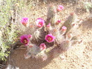 photo thumbnail #7