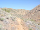 photo thumbnail #15
