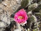 photo thumbnail #14