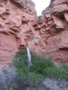 photo thumbnail #15