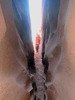 photo thumbnail #14