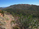 photo thumbnail #7