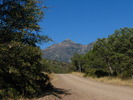 photo thumbnail #1