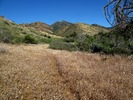 photo thumbnail #8
