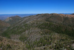 photo thumbnail #3