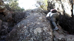 photo thumbnail #5