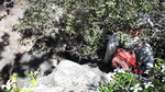 photo thumbnail #10