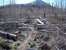 photo thumbnail #5