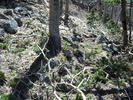 photo thumbnail #11