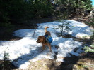 photo thumbnail #1