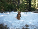photo thumbnail #2
