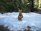 photo thumbnail #3