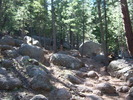 photo thumbnail #10
