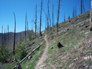 photo thumbnail #13