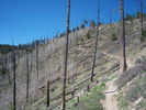 photo thumbnail #14
