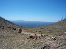 photo thumbnail #15