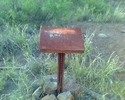 photo thumbnail #2