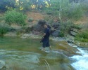 photo thumbnail #10