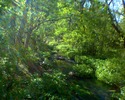 photo thumbnail #12