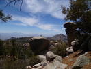 photo thumbnail #2