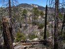 photo thumbnail #4
