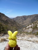 photo thumbnail #12