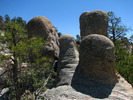 photo thumbnail #1