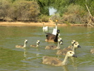 photo thumbnail #14