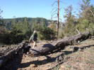 photo thumbnail #2
