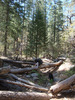 photo thumbnail #8