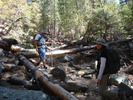 photo thumbnail #10