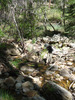 photo thumbnail #11
