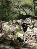 photo thumbnail #12