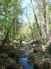 photo thumbnail #13