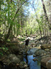 photo thumbnail #14