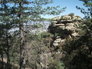 photo thumbnail #14