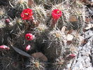 photo thumbnail #15