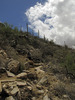 photo thumbnail #2
