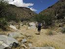 photo thumbnail #3