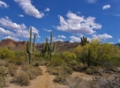 photo thumbnail #5