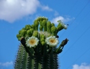 photo thumbnail #13