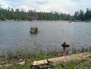 photo thumbnail #8