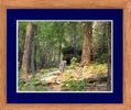 photo thumbnail #12
