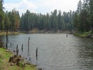 photo thumbnail #13