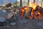 photo thumbnail #4